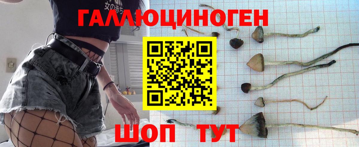 Королёв  Галлюциногенные грибы MAGIC MUSHROOMS  Вход с VPN 